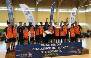 ICT 2011 &amp; 2012 Masculins