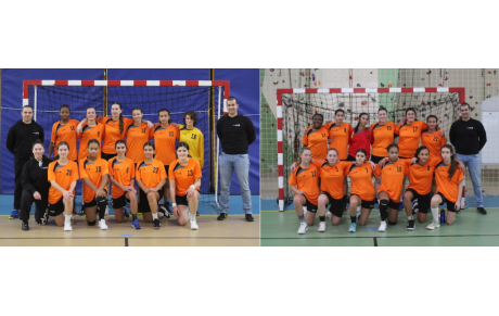 Inter-comité territoriaux - Sélection féminine 2008